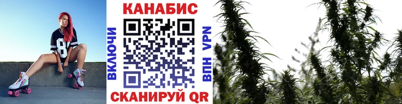 Бошки марихуана конопля  МЕГА ссылка  Старая Русса 